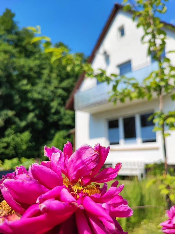 Muhrbach Villa Weier Dış mekan fotoğraf